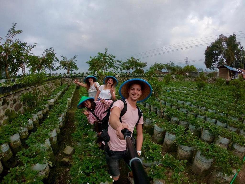 Asrama Buton Backpacker *